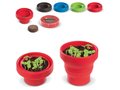 Petit jardin de Basilic avec pot pliable 5