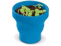 Petit jardin de Basilic avec pot pliable 6