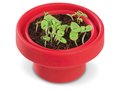 Petit jardin de Basilic avec pot pliable 2