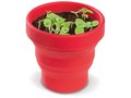 Petit jardin de Basilic avec pot pliable 1