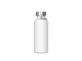 Bouteille isotherme Skyler 500ml 1