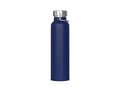 Bouteille Skyler 650ml 4