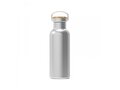 Bouteille Ashton 500ml 3