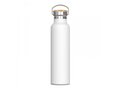 Bouteille Ashton 650ml 1