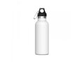 Bouteille Lennox 500ml 1