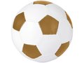 Ballon de football 12