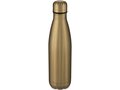Bouteille Cove de 500 ml en acier inoxydable à isolation sous vide 43