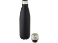Bouteille Cove de 500 ml en acier inoxydable à isolation sous vide 42