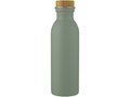 Bouteille de sport Kalix 650 ml en acier inoxydable 15