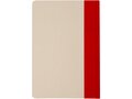 Carnet à couverture rigide A5 en plastique à base de canne à sucre Liliana 4