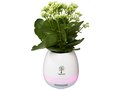 Enceinte Bluetooth Pot de fleur 4