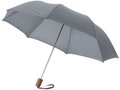 Parapluie Classique pliant 2 sections 20