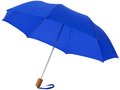 Parapluie Classique pliant 2 sections 16