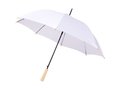 Parapluie 23" en PET recyclé à ouverture automatique Alina