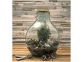 Terrarium Tier en verre recyclé avec set de jardinage 3