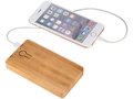 Bamboo powerbank 1