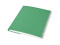 Cahier Curve A5 50