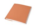 Cahier Curve A5 29