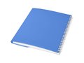 Cahier Curve A6 24