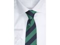 Cravate Striped 8