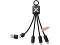 Câble de charge 5-en-1 SCX.design C13 3