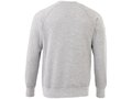 Sweater Kruger 31