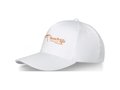 Casquette Doyle 5 panneaux