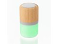 Enceinte lumineuse 2