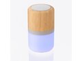 Enceinte lumineuse 3