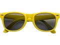 Lunettes de soleil en plastique 6