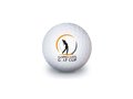 Neutral Golf Ball  1