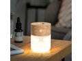 Gingko diffuser luxe avec lampe 5