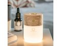 Gingko diffuser luxe avec lampe 3