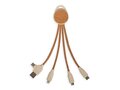 Câble de charge multi-embouts