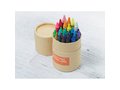 Etui 30 crayons cire 3