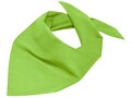 Foulard triangle 42