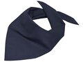 Foulard triangle 30