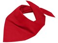 Foulard triangle 24