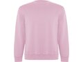 Pull ras du cou Batian unisexe 21