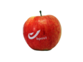 Pommes avec logo 7