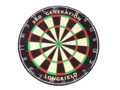 Dartsbord pro