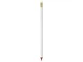 BIC Ecolutions Crayon Eraser
