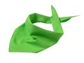 Foulard triangle 13