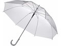 Parapluie transparent 1