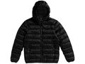 Veste a capuche Norquay 13