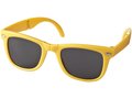 Lunettes de soleil pliables Sun Ray 12