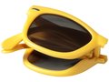 Lunettes de soleil pliables Sun Ray 13