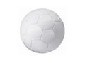 Ballon de football taille 5 1