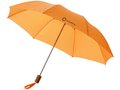 Parapluie Classique pliant 2 sections 11