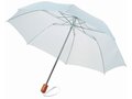 Parapluie Classique pliant 2 sections 1